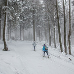 Ski de fond dans les Vosges