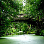 Pont Marais Poitevin