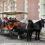 Balade en chevaux à Blois