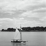 Balade en voilier lors de la fête du fleuve