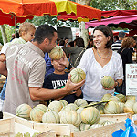 Melon de Quercy