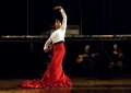 Festival de Flamenco de Toulouse 2015