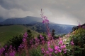 Les volcans d'Auvergne